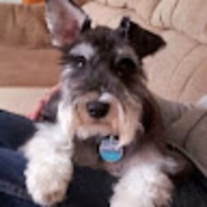 Meet your Posher, Tracey